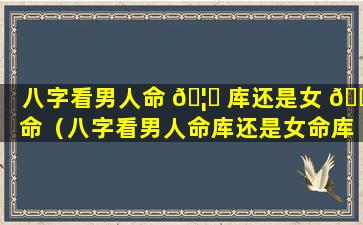 八字看男人命 🦄 库还是女 🐝 命（八字看男人命库还是女命库）